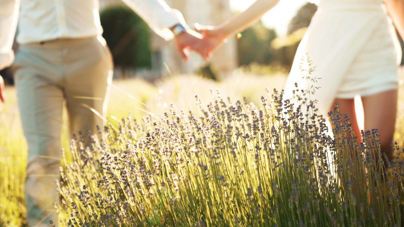 Couple walking through lavender